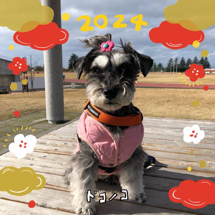 0ff0aea2 ac2f 4342 9ed9 addd0f682d18 1704085855874