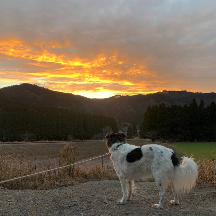 0ff0e889 57d8 4b3a 81c3 226c1f206128 1578316983095