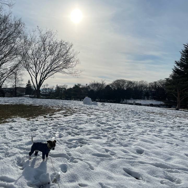 0ff10022 48da 4acb 9a0d 6ed60c4881d7 1644662883733