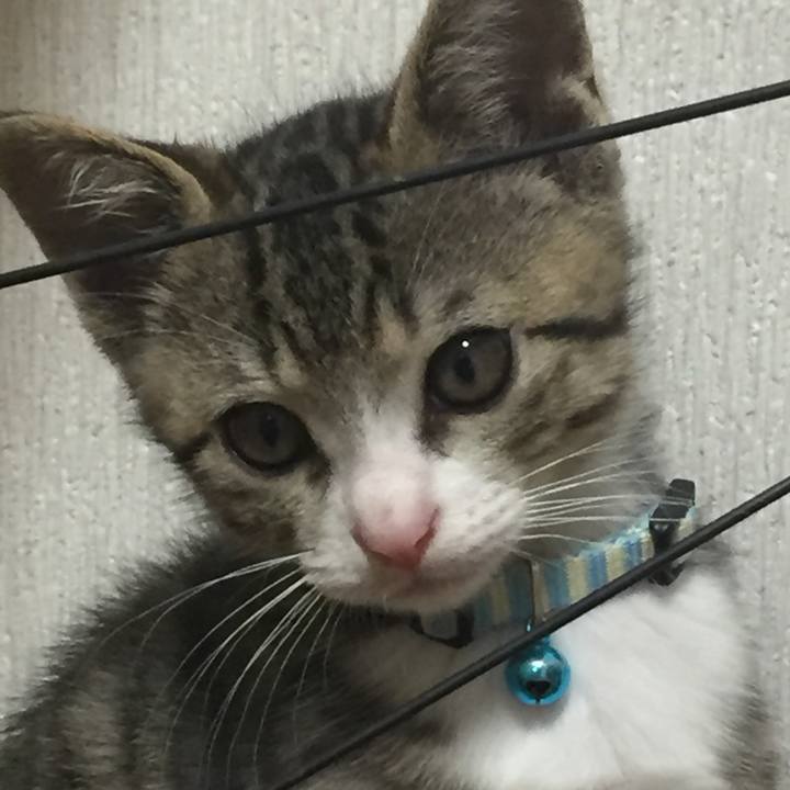 0ff10cd9 5fbf 4fb7 bd00 c4943ecff4f8 1654125964753