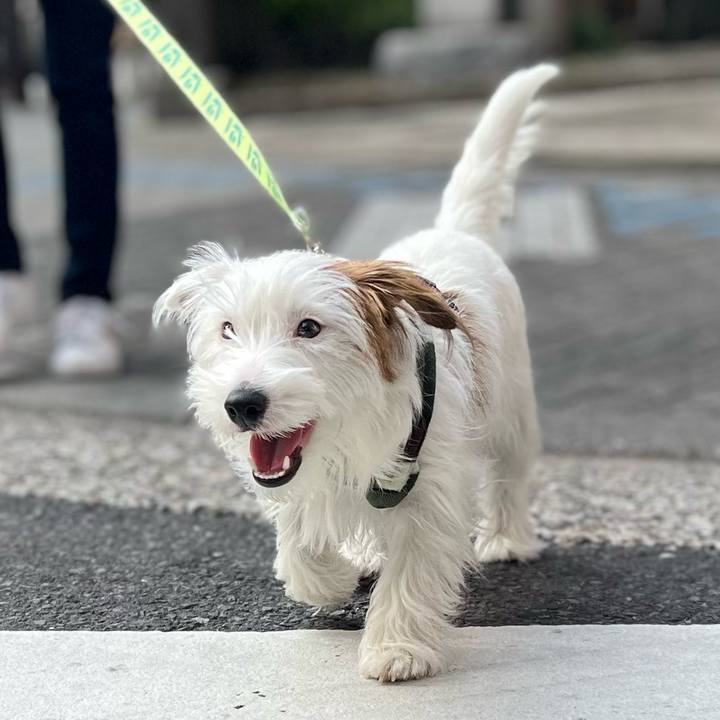 0ff130da 0777 457a a8e1 4ff7143a142c 1710680981980