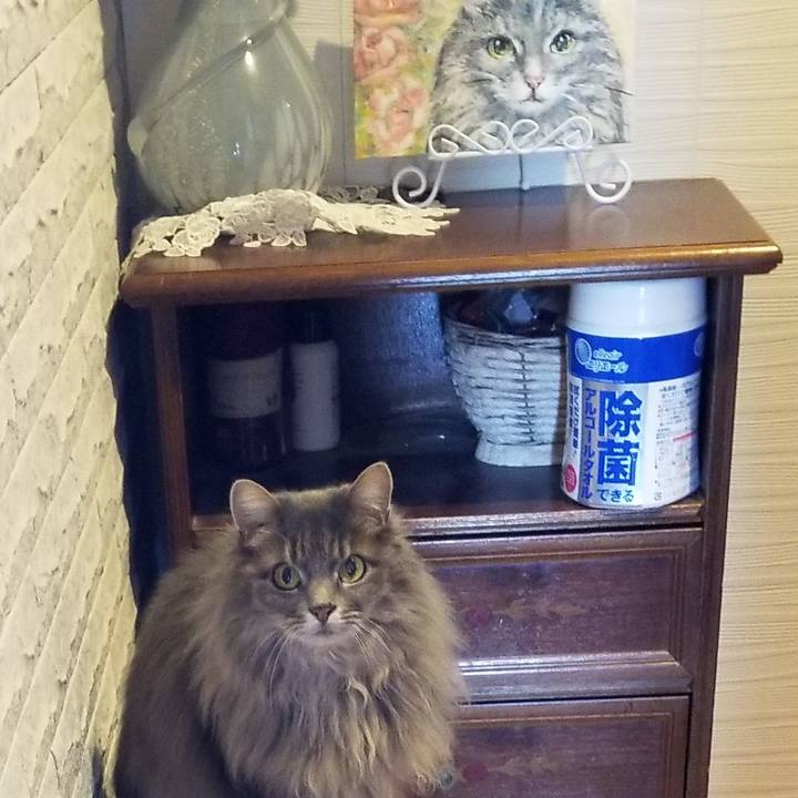 0ff1402c 7c42 4c11 bec6 1316a2774ddd 1583452457342