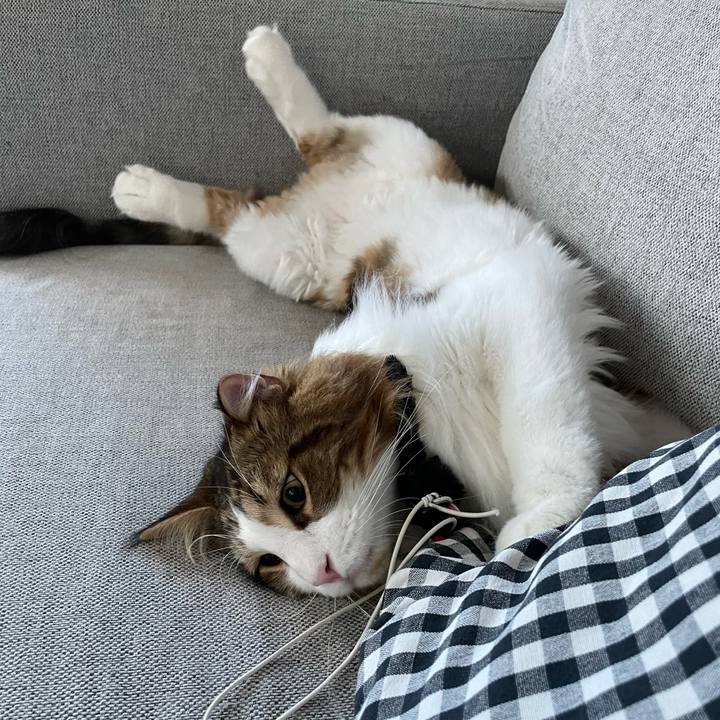 0ff16be8 f80b 4277 97b2 3e3b7e71042a 1662238171743