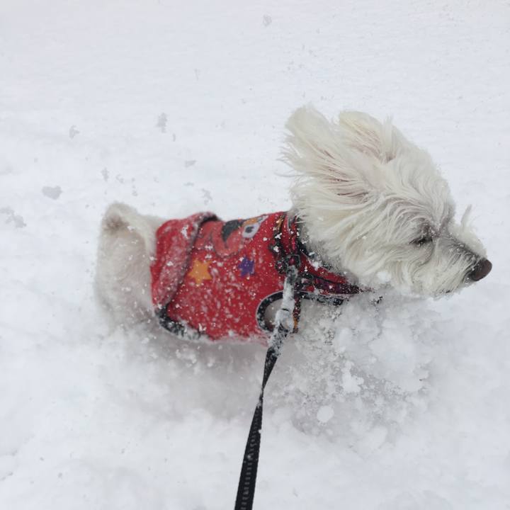 0ff18340 1b17 4981 8b0f 700de5e6ef9f 1635915820672