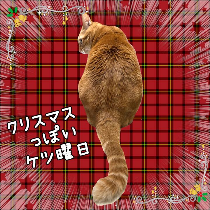 0ff18c6e 0577 4390 bbd8 9598309c9e36 1639364620913