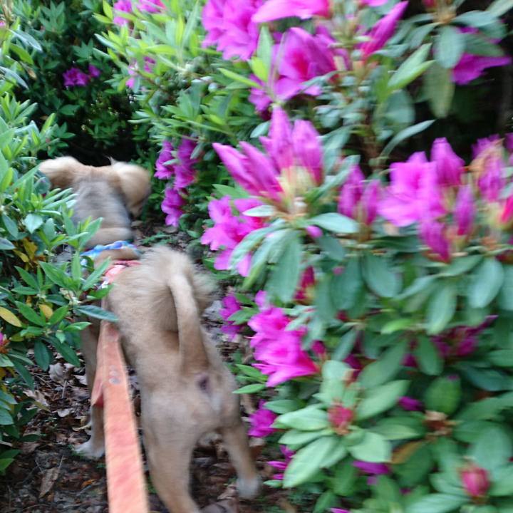 0ff1d4e8 b114 4835 81d3 4fa4b5400245 1523525285125