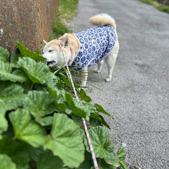 0ff1dd35 154f 467a a0e6 8907eda36d77 1744437322339