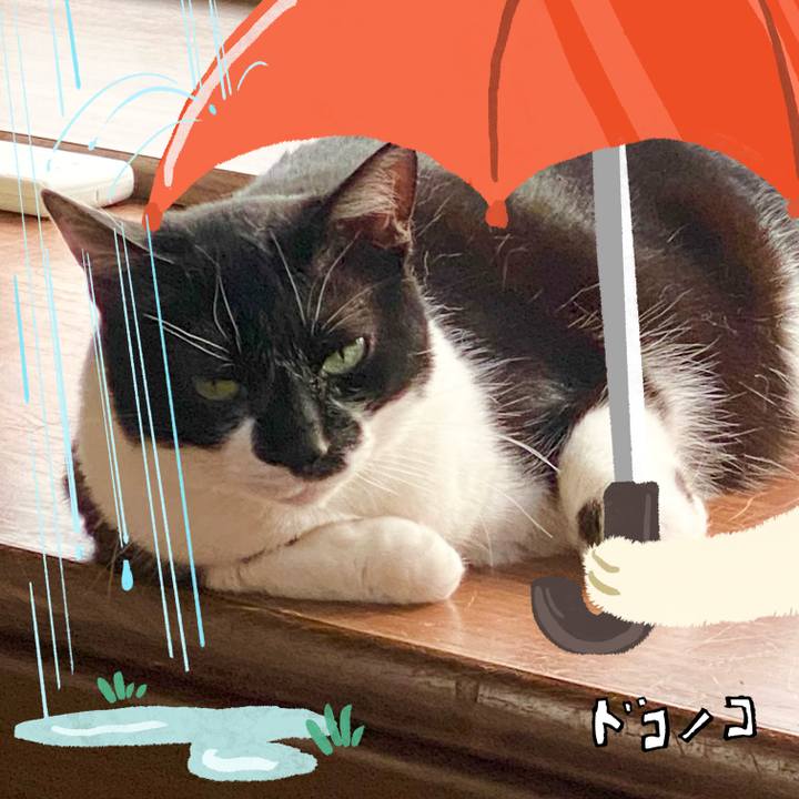 0ff26caf 538f 438e a58b dde8c3c45a57 1749617390508