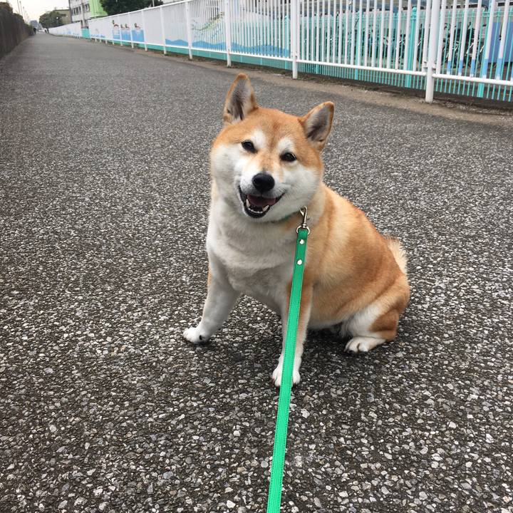 0ff27c4f b177 4fa2 9ba5 71f69cab6fed 1604628528950