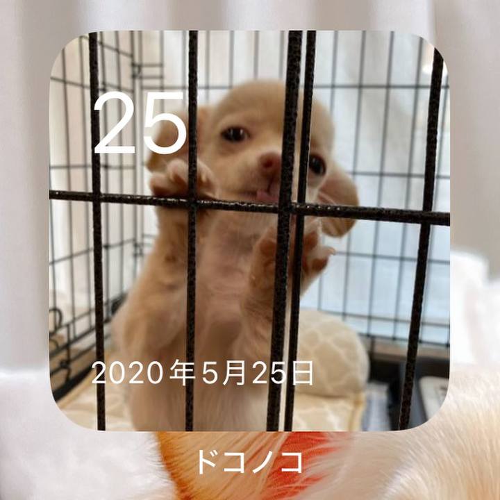 0ff2aefe 4de4 41e9 a334 e11d93fa6c52 1748172618036