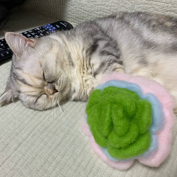 0ff2dcf9 f0f2 4920 a089 1b6a7f28a20e 1711980707715