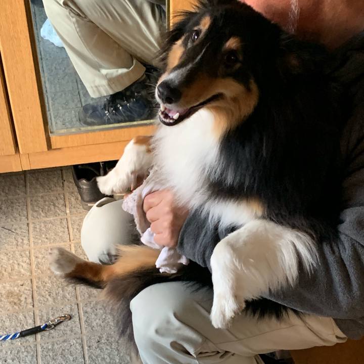 0ff2de84 5adc 466c 9f73 48d74abb1427 1554329186004