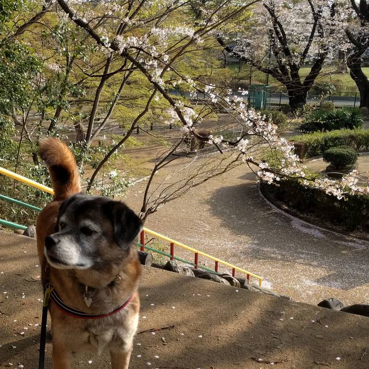 0ff32584 9558 4a8d 9d69 06b8ffb12628 1522367654043