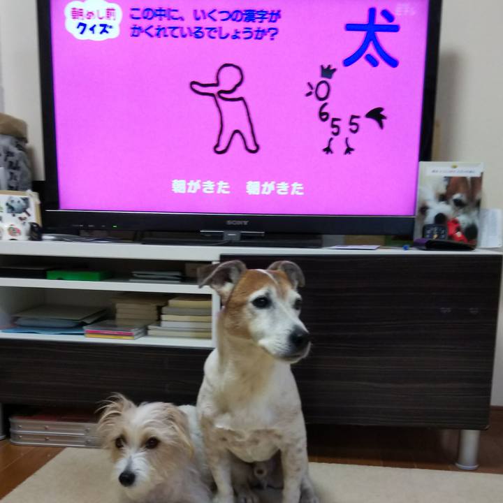 0ff32729 37bc 4505 867c e5059e601a0d 1554242693616