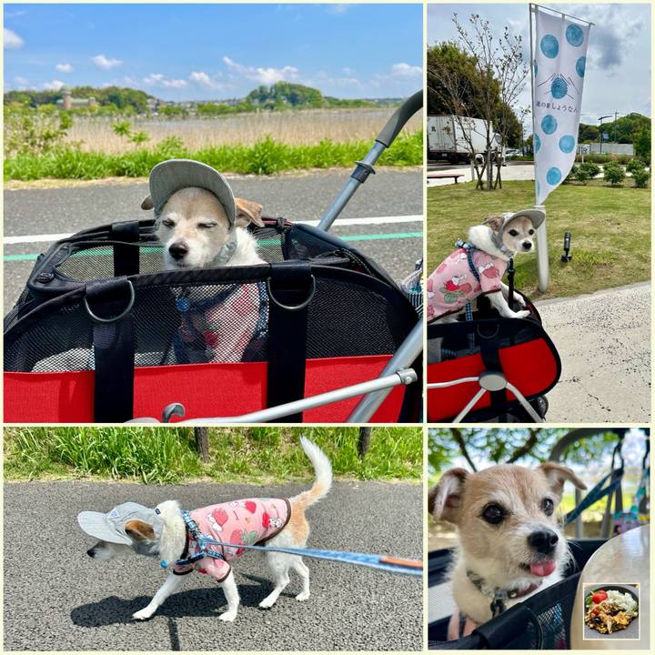 0ff33365 fb97 4d4f a857 1e8e7f106c0e 1714109175995