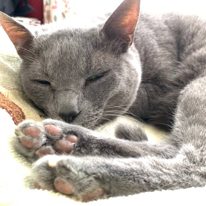 0ff35cbd e42c 4afc 88c7 a1c75f91cd85 1592650405828