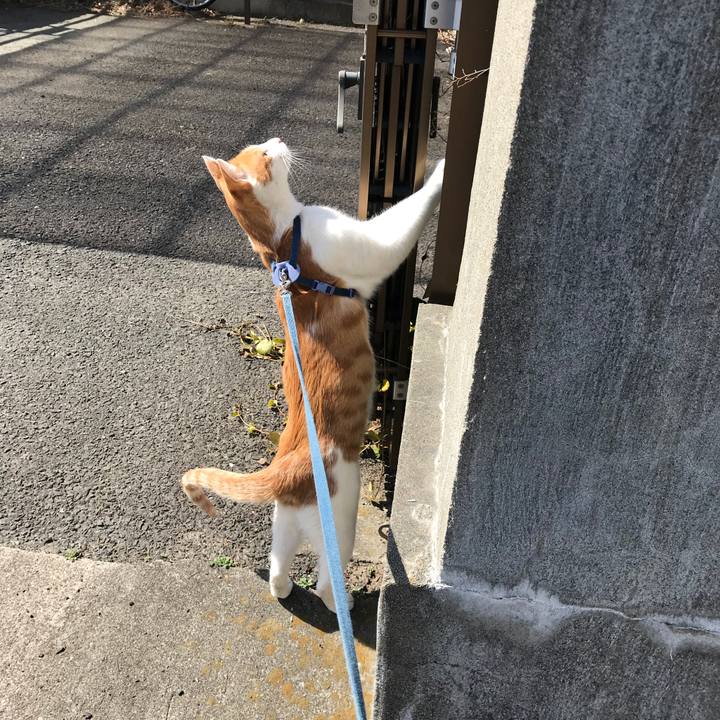 0ff37627 5211 4550 9d2f ecf6557257ec 1520827598451