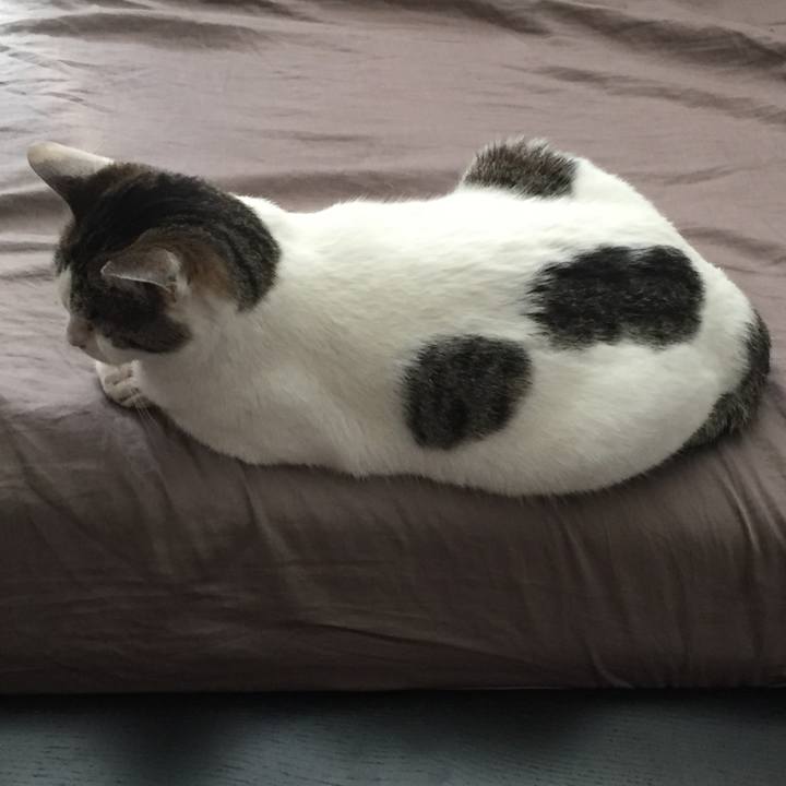 0ff3a521 8197 4a9d a681 ab38dd1c65fa 1559340497587