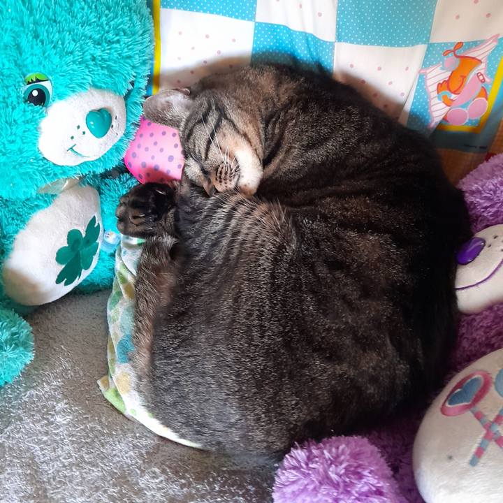 0ff3a6c7 c0a5 4a15 b36e 0325ba52ab38 1762522536177