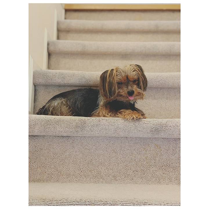 0ff3e024 8523 4ed7 8395 f0eaa0d580f9 1562565511672