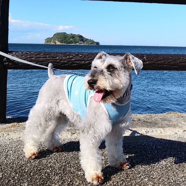 0ff432e1 c311 44d5 9b12 5eaef2fcb963 1560668420570