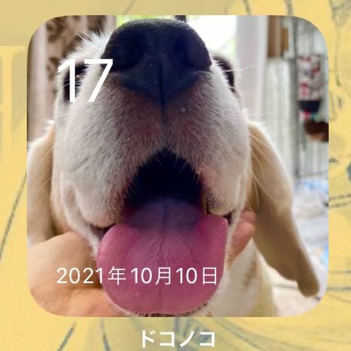 0ff46481 430b 4b20 b3d5 ab3c76d88801 1697500690414