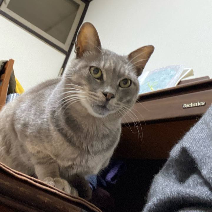 0ff46d58 640e 4644 9169 2c8197d7f29f 1575727253680