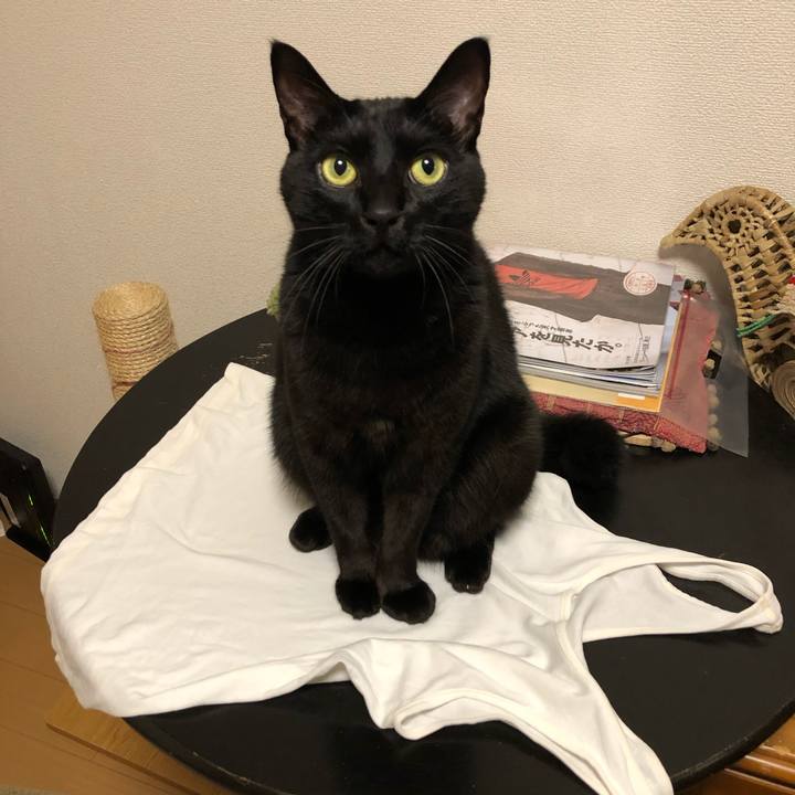 0ff4e0b8 13ac 44a0 ba4d af93f63983e0 1576109909272