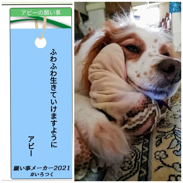 0ff508af 9848 40d6 aa4f 938e8745f570 1625631887505