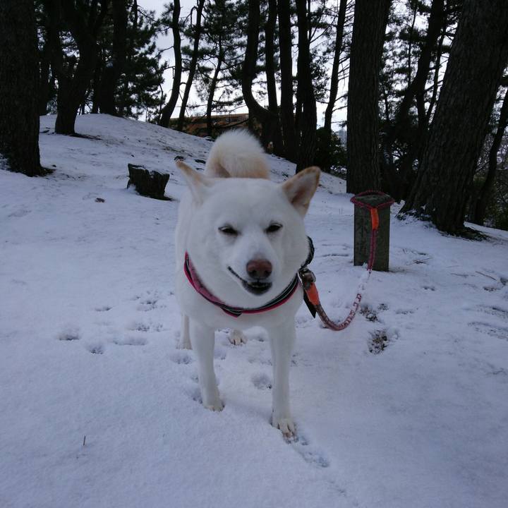 0ff50a47 0493 44c4 b492 92117f693c39 1548991487645