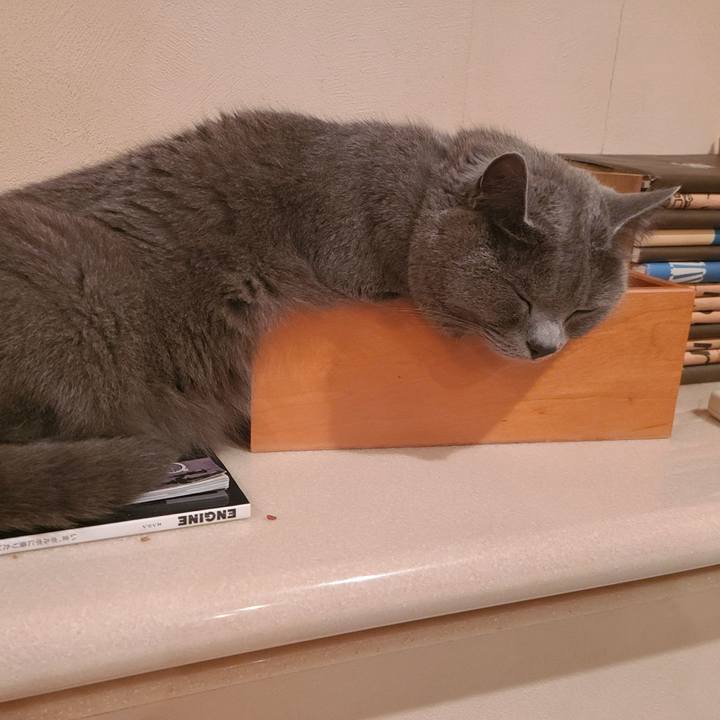 0ff51cf0 43f1 4320 a166 955d977c5b39 1626166534794