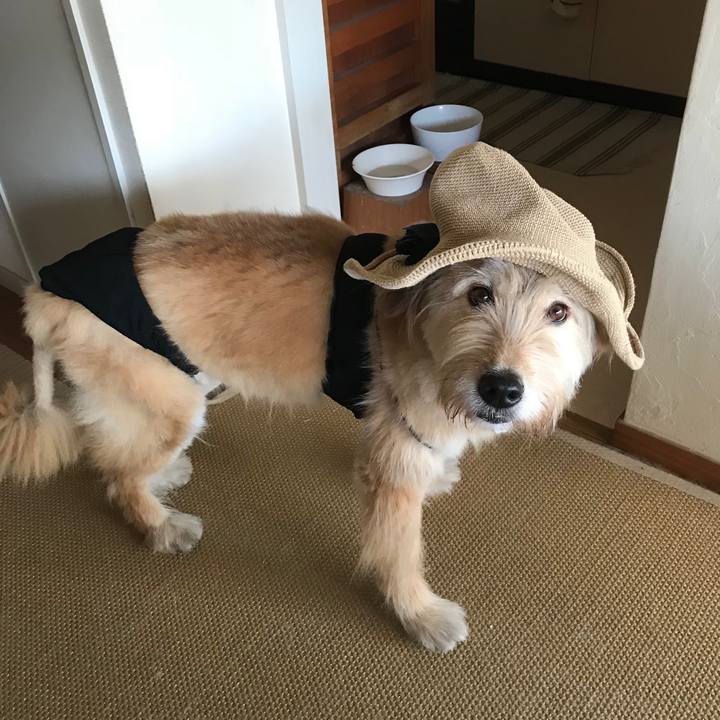 0ff524a6 2f3c 4bb6 8feb ec659f29a9d2 1531523120147