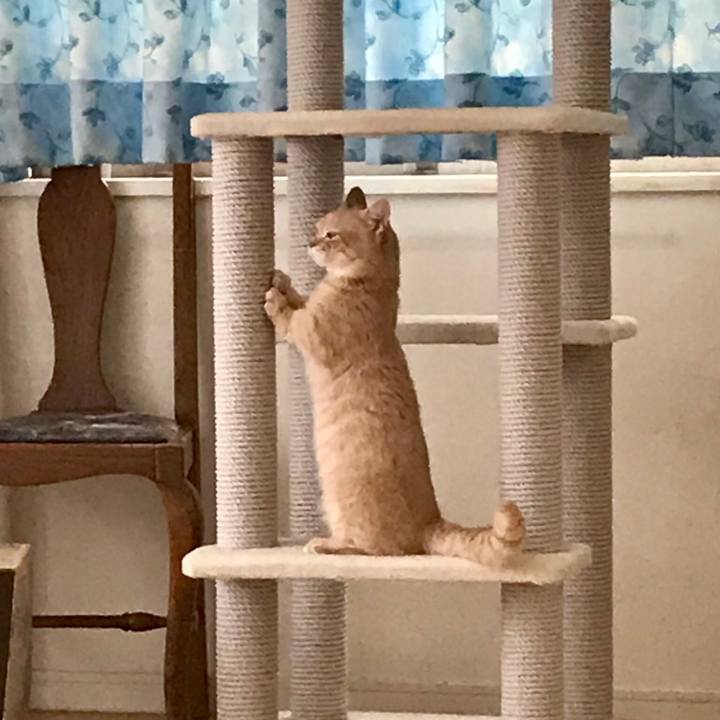 0ff52e37 cf0b 4349 a119 755449786a5a 1527720658707