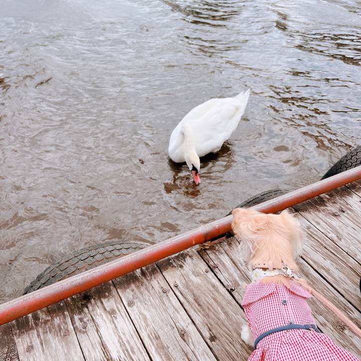 0ff54bcb 571e 404d 8b70 1c214a3ceeb5 1662274986833