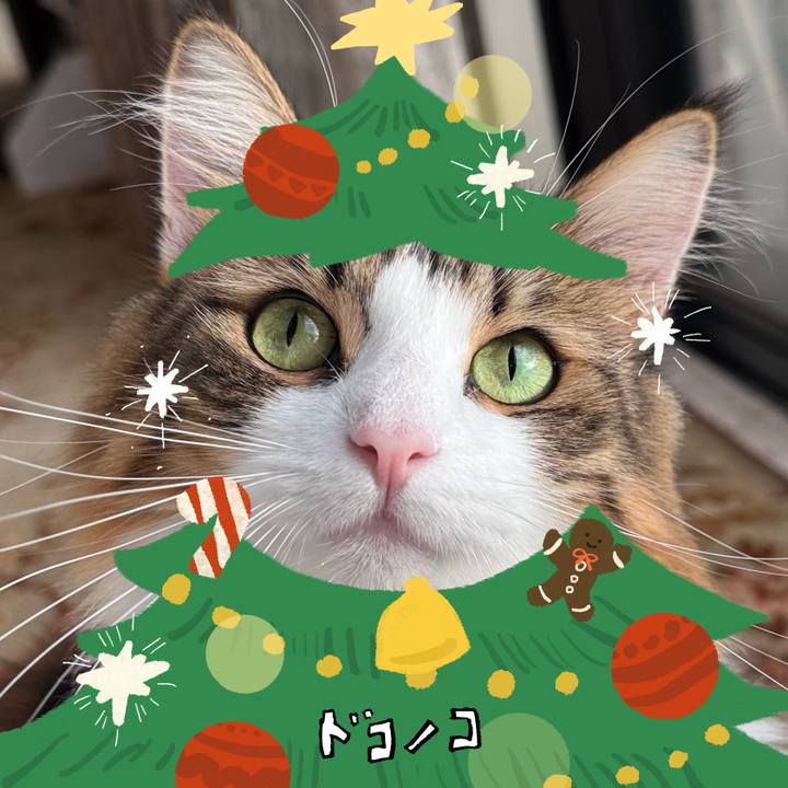 0ff56e01 8c9c 4d13 89ee 627e526cab6c 1761707109513