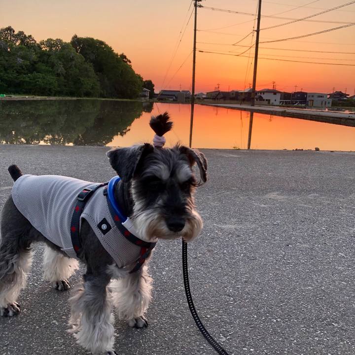 0ff5b7e4 5561 4171 894a 1b4ff588a7a7 1651846157292