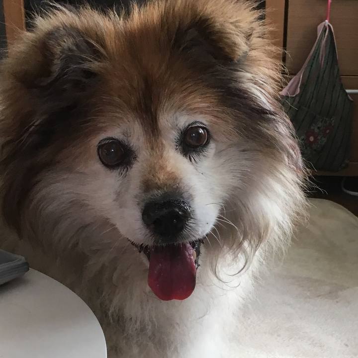 0ff5cd5d 13c2 487e 8e8f 5d55b04712db 1557908867687