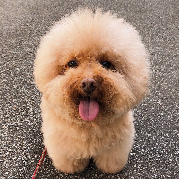 0ff5eb4d 3d22 4ec7 a168 04604fa2d8ab 1537351451124