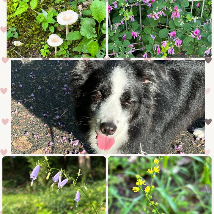 0ff5fcae d261 4e16 abef 1a34688747c7 1757896967206