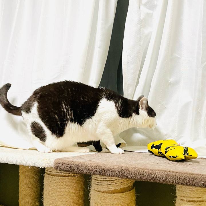 0ff625ba 722d 4503 998a cfab0a3d7d2d 1655603036569