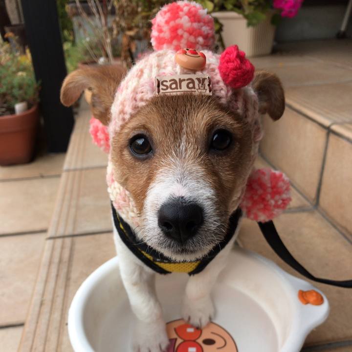 0ff639e6 40ce 4b0f acee e2efb7cdeb4a 1547785776483