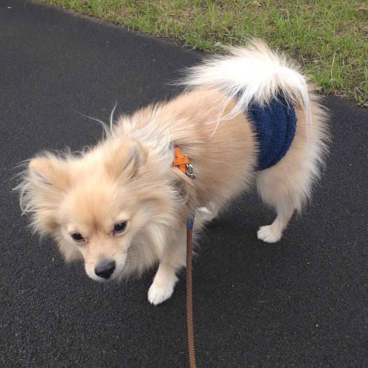 0ff6444f ef8a 4a8b aa0b 0e99c7151c2c 1761181924618