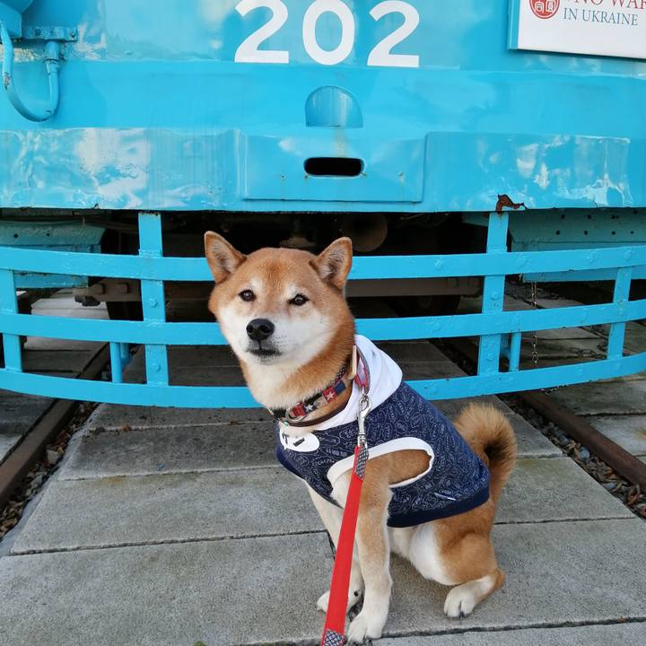 0ff670f1 0b92 438d 8d7b 991a4cbf559b 1674050203626