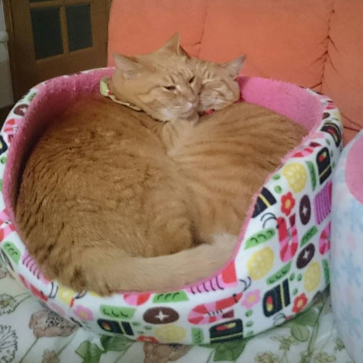 0ff67af2 bb5b 438a b3e5 487b5bd0cbbc 1518269857042