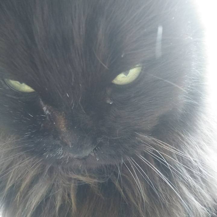 0ff689e5 17a6 48d3 ae77 54003fddb0d5 1573258022895