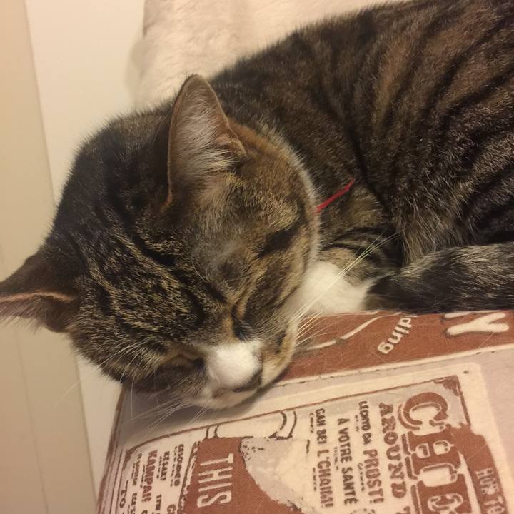 0ff6b77e 553a 408b a6b4 9e7179086cbf 1560173437435