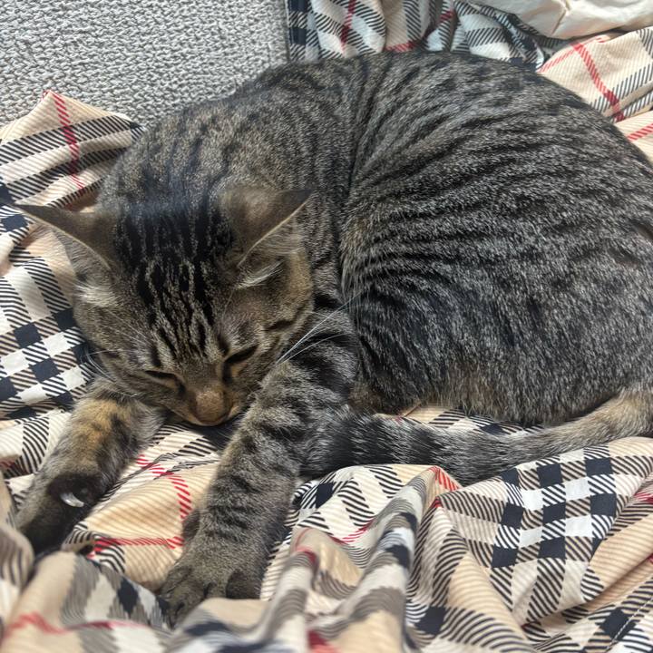 0ff6c6f0 ea7a 4b0c 9a57 a90c304560b6 1766974782327