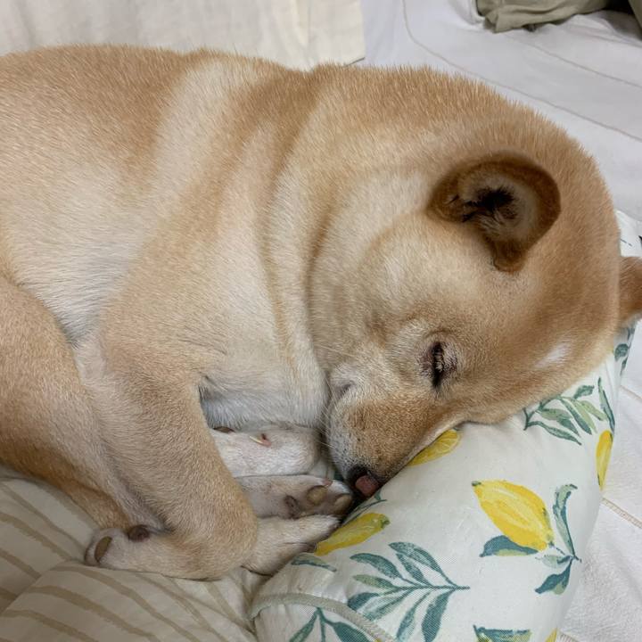 0ff6d2a8 2cbf 4fa7 b229 f78d47281227 1630583283363