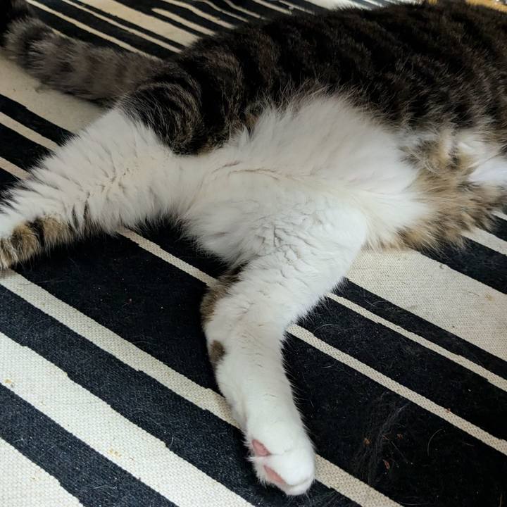 0ff6e31e 289b 44a6 9693 200ace1d6db6 1731935533534