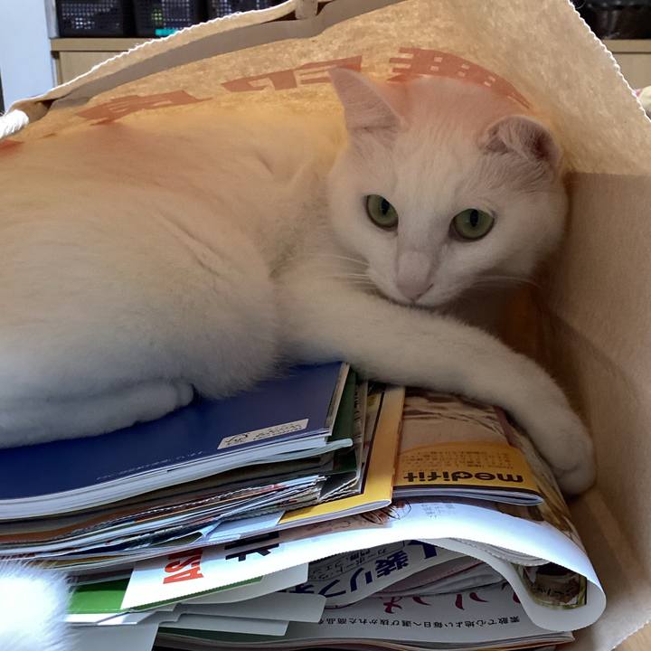 0ff6f59a 8c6d 429d 9365 b77b7edf4f3c 1668553301093